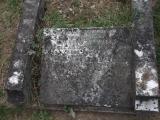 image of grave number 264208